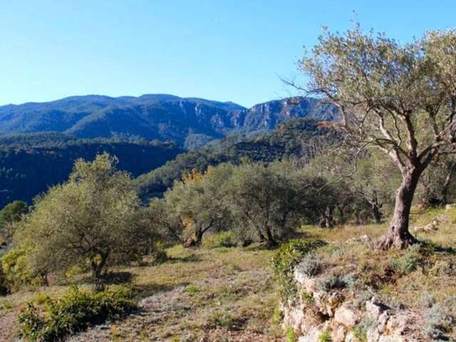 BELGENTIER - Barre de Cuers