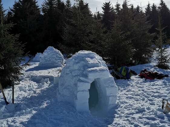 Construction d'Igloos