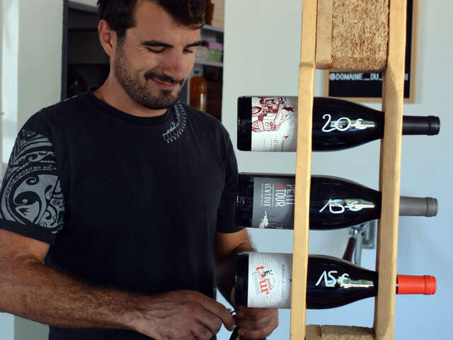 Visite du vignoble du Domaine du Colibri