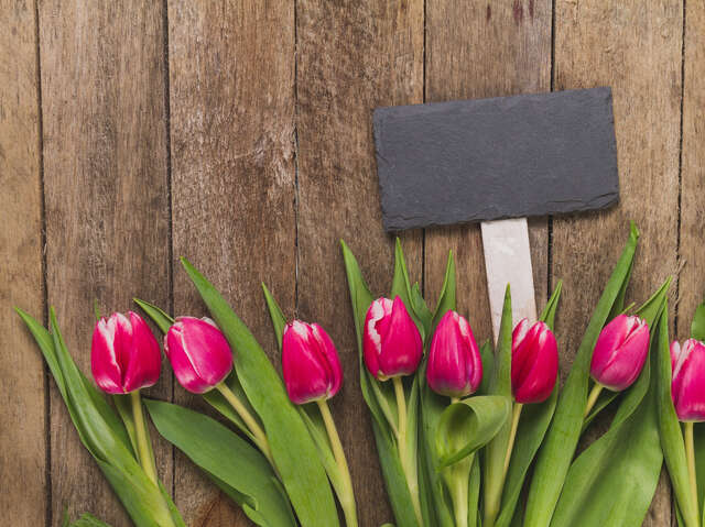 Des tulipes pour les enfants