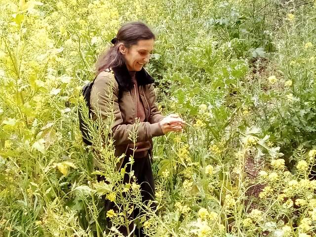 Apéro balade Plantes Sauvages & Comestibles - 1/2 journée