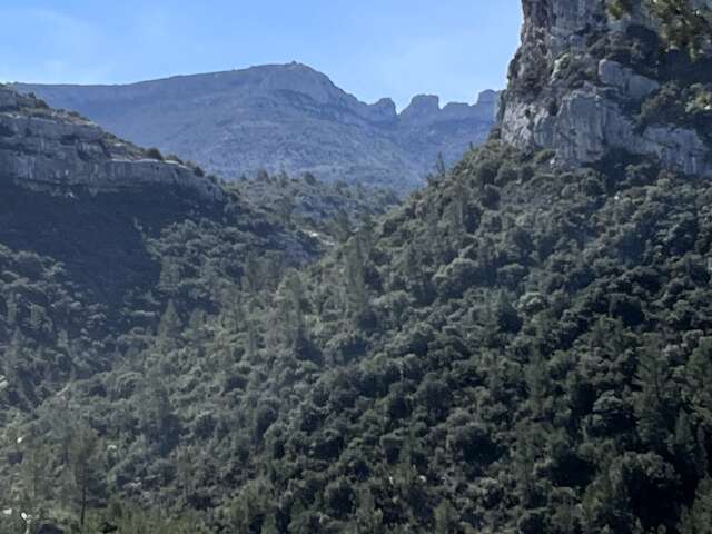 Sur la piste du loup dans le Ravin des Encanaux - Journée