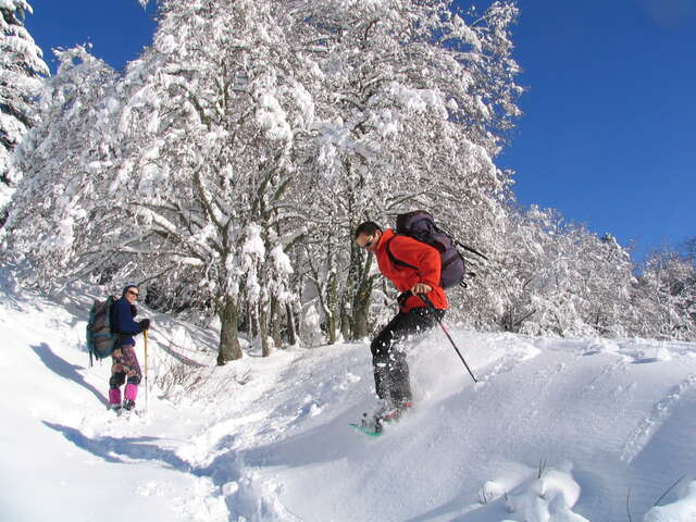 La balade des p’tits loups