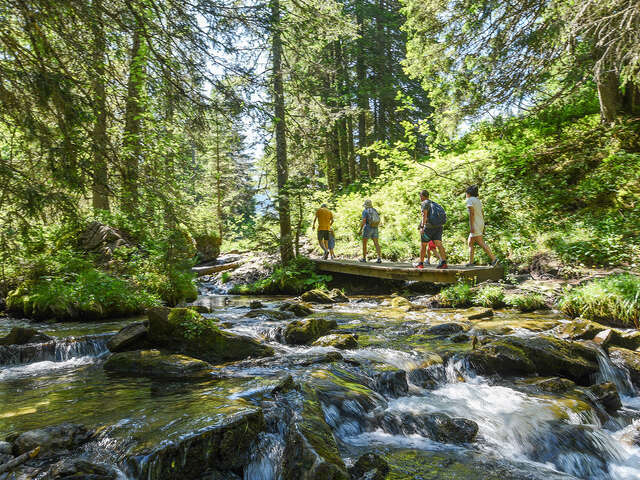Sentier pédestre : des Lindarets à la Cascade des Brochaux