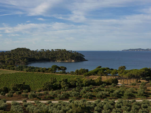 Château Léoube