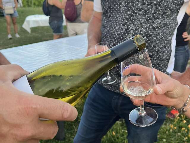 Apéro-vigne au Domaine Brenier