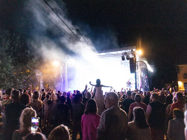 Zomerfeest aan het meer