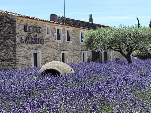 Musée de la Lavande Luberon