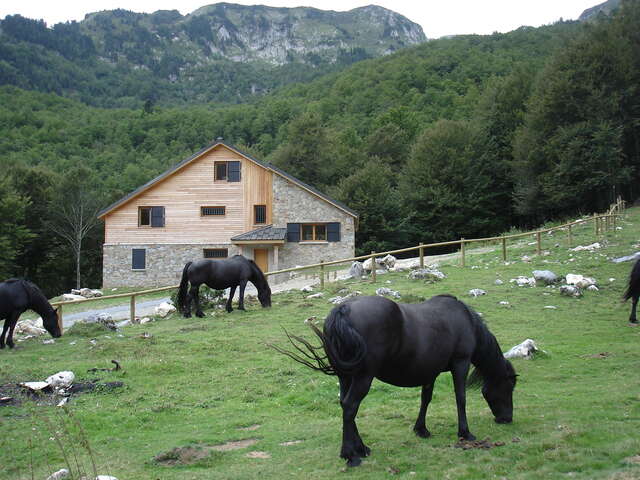 Casa rural forestal Terre d'Avenir