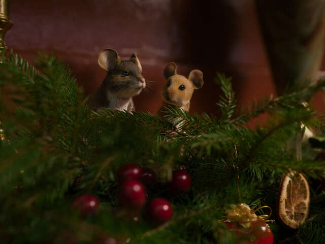 "Panique à Noël" cinema screening