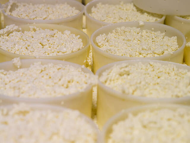 Fabrication de faisselle et visite des caves d'affinage