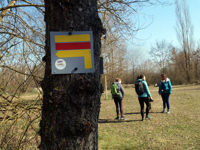 GRP® Terre de Tisseurs en Forez : Boucle Fleuve Loire