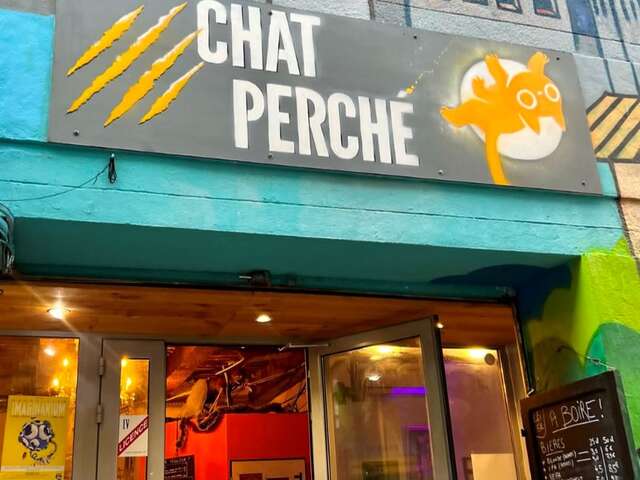 Chat perché