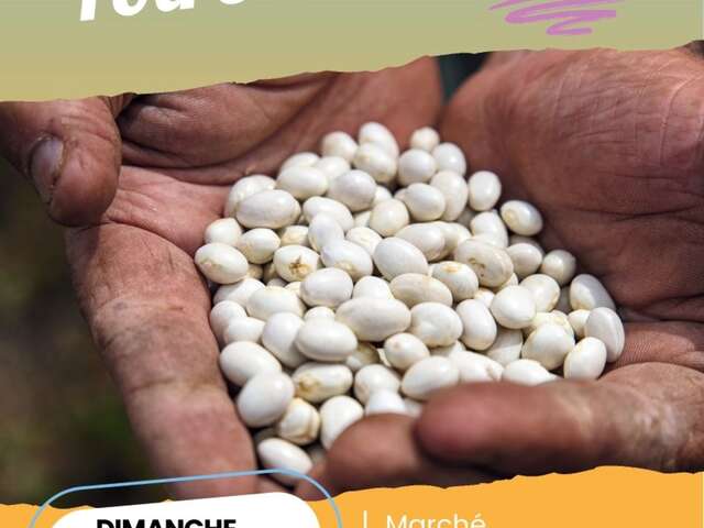 Fair of Cocos beans in Mollans