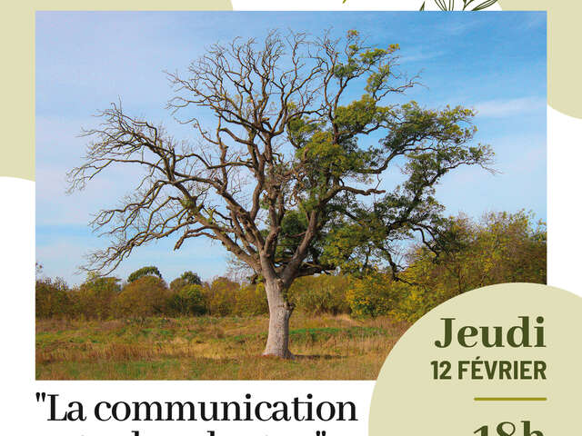 Conférence environnement : "La communication entre les plantes"
