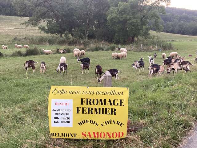 Goat's and ewe's milk cheese from Samonod