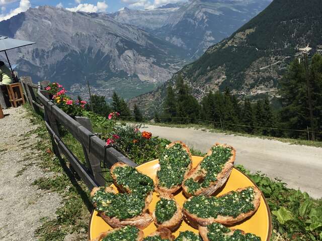 Cueillette et dégustation de plantes