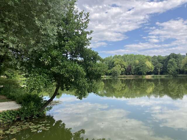 Etang d'Anneyron -base de l'Argentelle