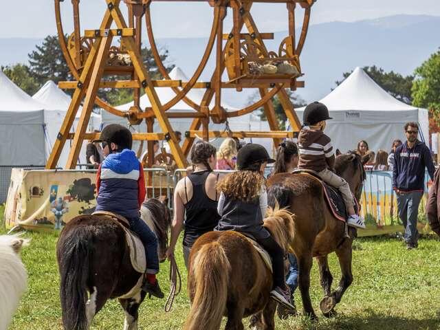 Folie(s) Végétales 2026