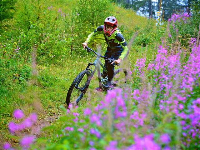Week-end  ouverture "Shape & Ride"