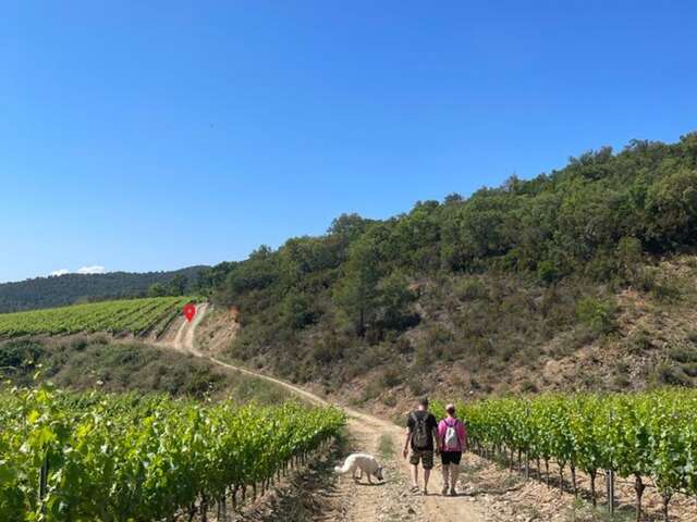 Jeu de piste et énigmes au Château Pas du Cerf