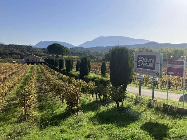 Balade Gourmande et Paëlla dans les vignes