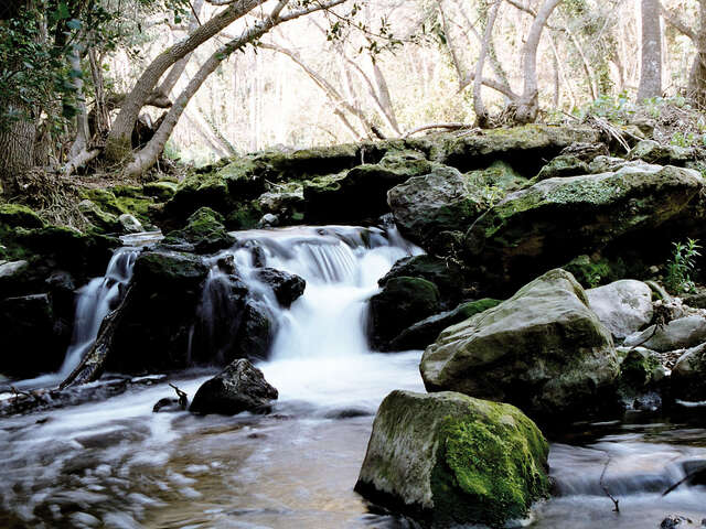 Randonner au fil de l'eau