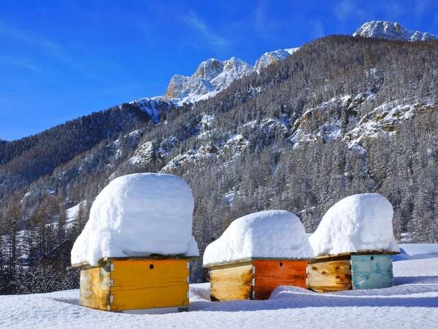 Le musée de l'Abeille