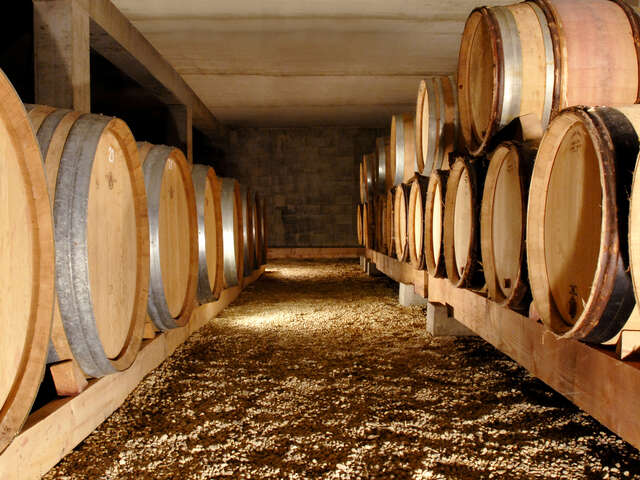Visite du chai et dégustation commentée - Domaine la Monardière