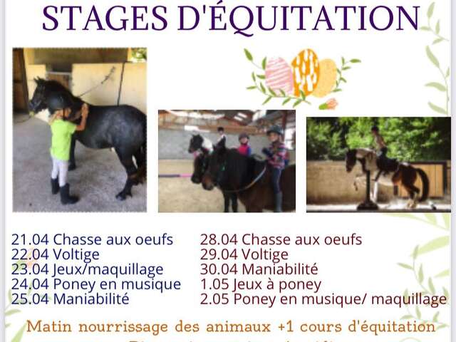 Stages vacances de Pâques - centre équestre Terre et Ciel