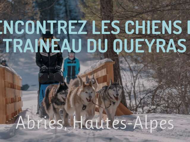 Baptême chiens de traineaux