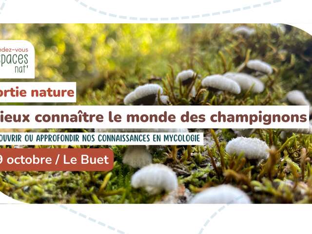 Nature outing - Learn more about the world of mushrooms