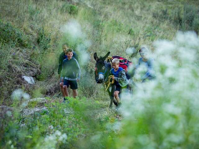Les Bauges et les ânes en contes et légendes