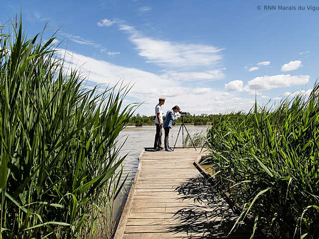 Les Marais du Vigueirat