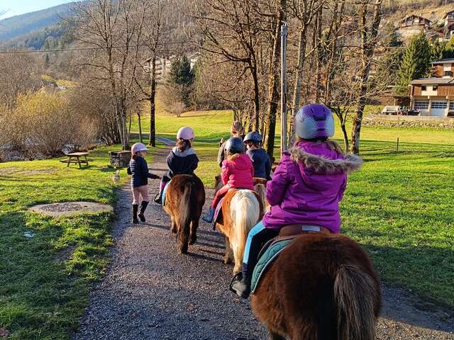 Initiation Premiers pas à poney encadrée