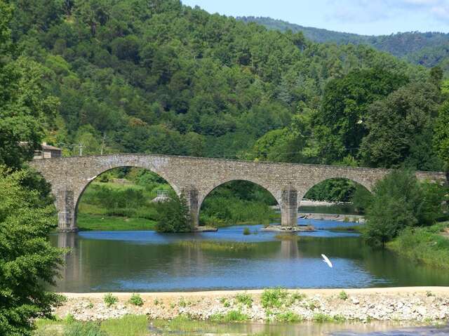 Le Pont Vieux