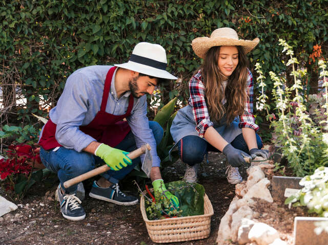 Come and visit my garden - Cervens