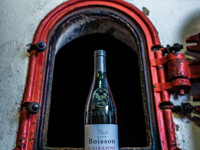 Visite du vignoble et de la cave - Domaine Boisson