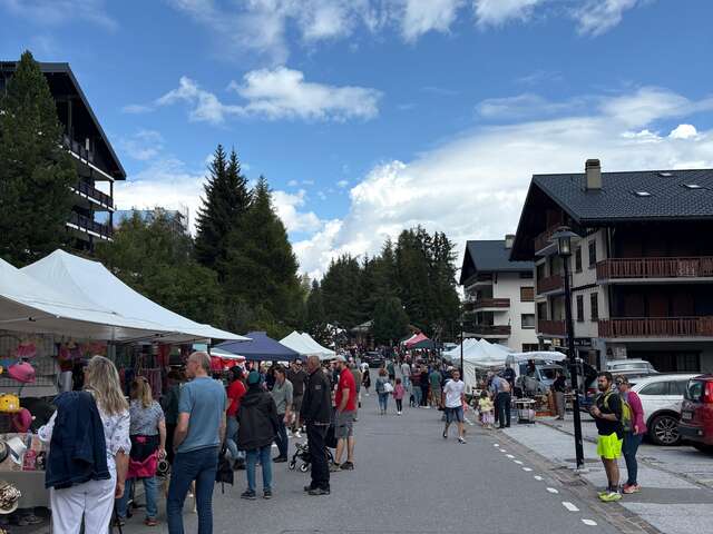 Brocante des Alpes et marché Artisanal