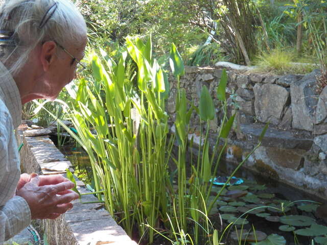 Jardin botanique remarquable l'Hardy-Denonain