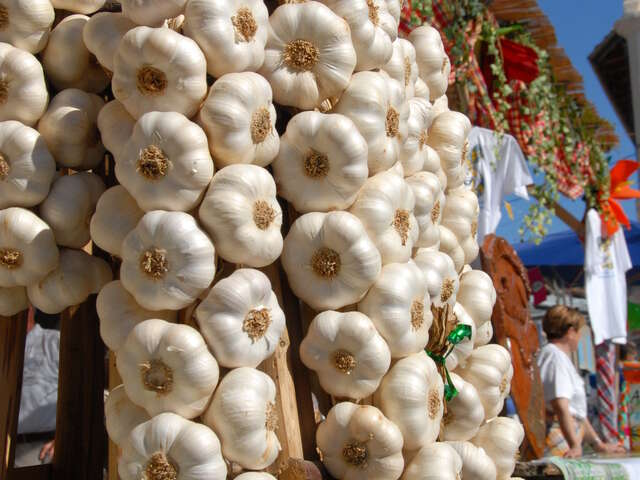 Ferme de la Gimone