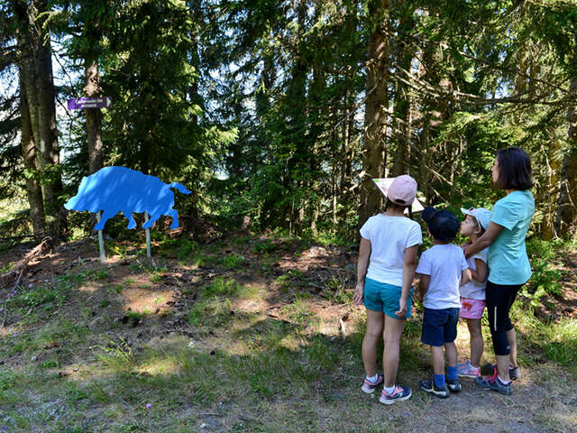 Parcours animalier "Cache-cache des animaux"