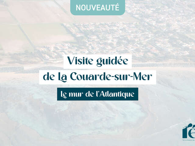 Guided tour: The Atlantic Wall