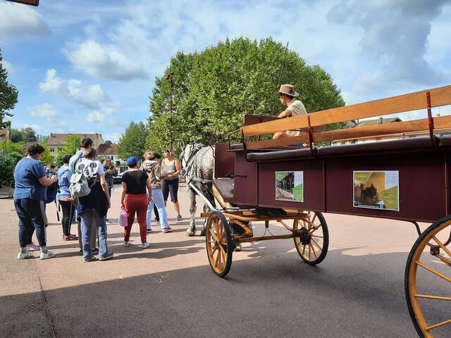 Châtillon, le temps d'une balade en calèche