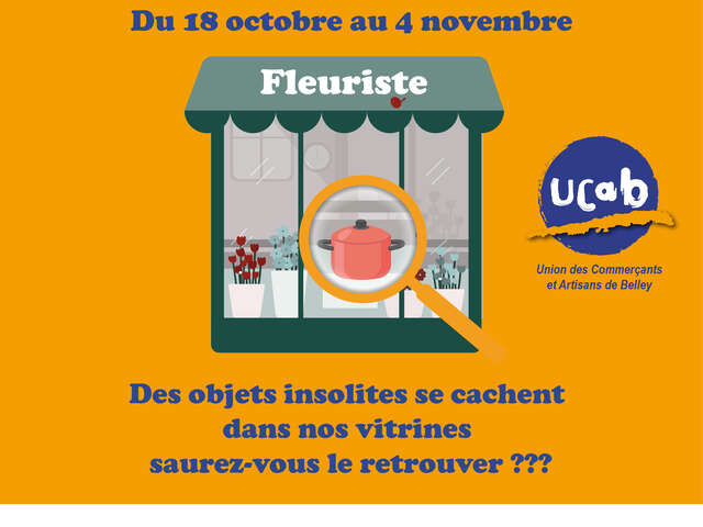 Jeu des anomalies de vitrine à Belley