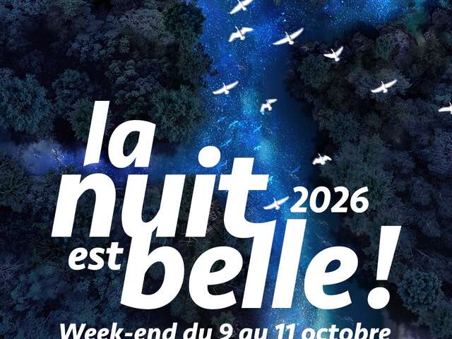 La nuit est belle !