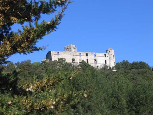Le Combat de la Madeleine à Tornac