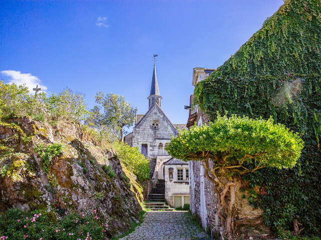 Visite guidée de l'île de Béhuard