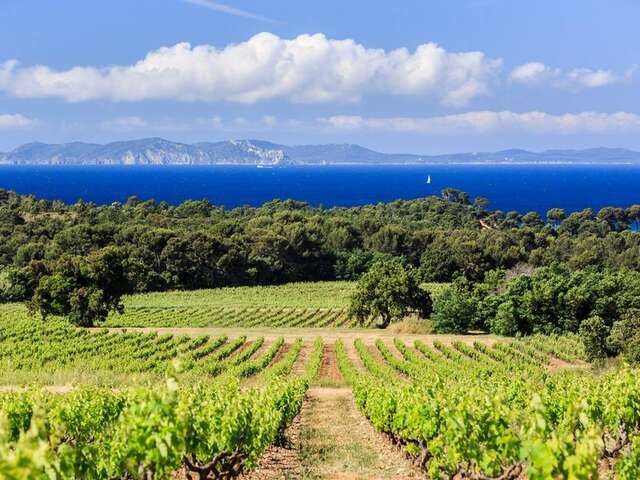 Excursion œnologique en Côtes de Provence – demi-journée