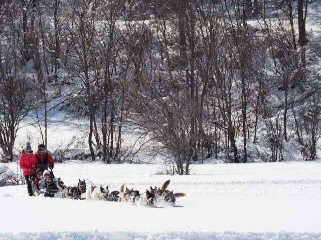 Baptême en chiens de traineaux